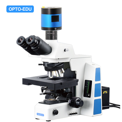 Opto Edu M12.5850 Biological Motorized Microscope Bf Xyz