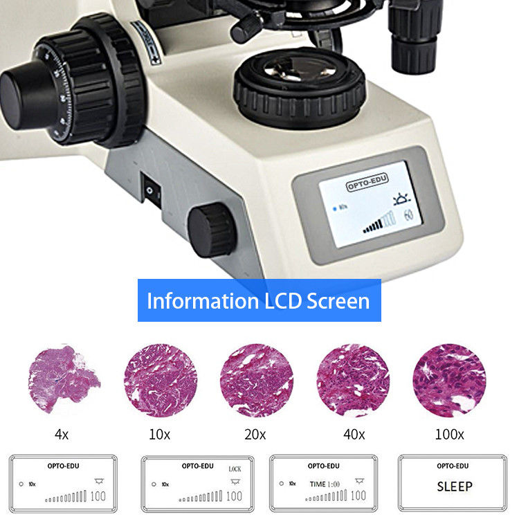 Opto-Edu A12.1062 Binocular Lcd Laboratory Biological Microscope